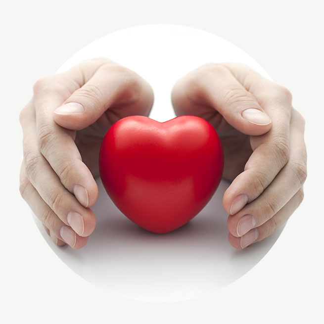 A close up of pair of hands clasping a red plastic heart.